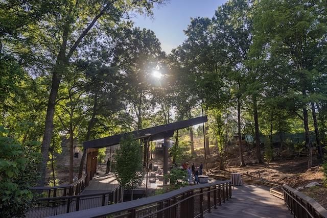 Zoo Knoxville introduces Summer Concert Series