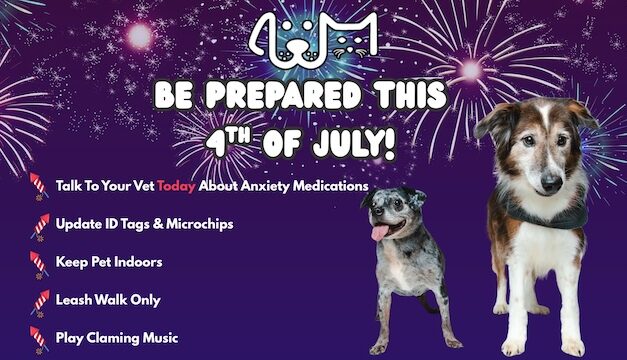 Prepare now: Keep your pets safe this Fourth of July