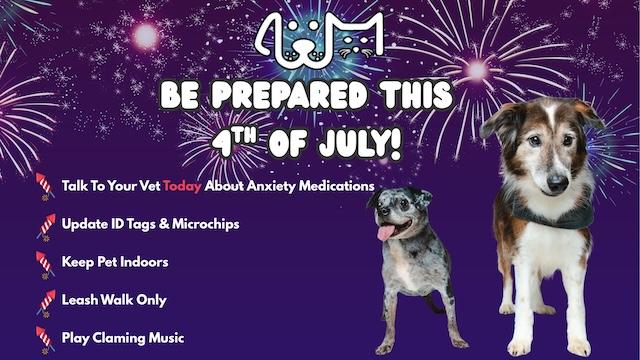 Prepare now: Keep your pets safe this Fourth of July