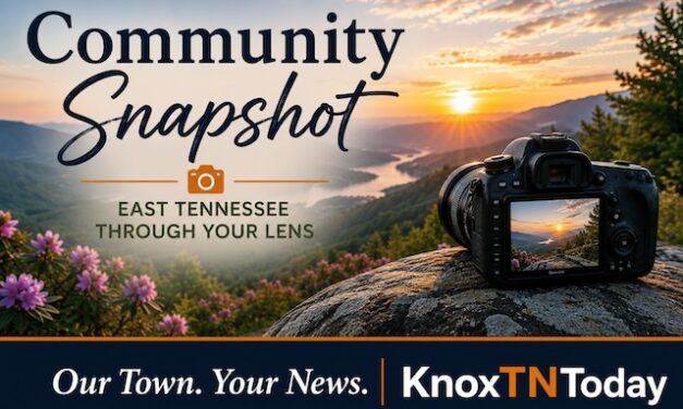Community Snapshot