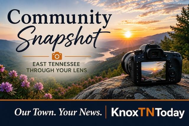 Community Snapshot
