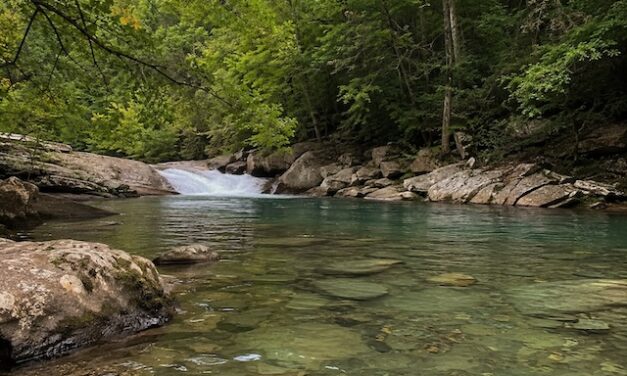 Close to Home, Far from Ordinary: Summer swimming holes