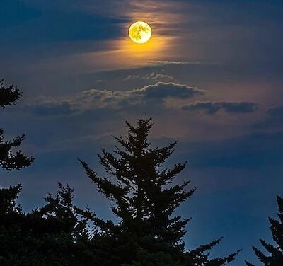 From tornado alert to Buck Moon 