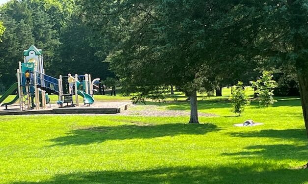 Youth Scoop: Activities for all ages in Knox & area