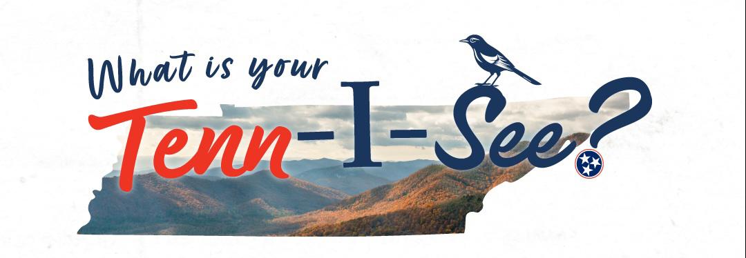 Tennessee 250 celebration launches Declaration: I Am Tennessee