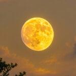 The Dolly Moon