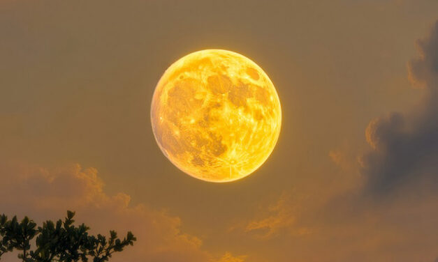 The Dolly Moon
