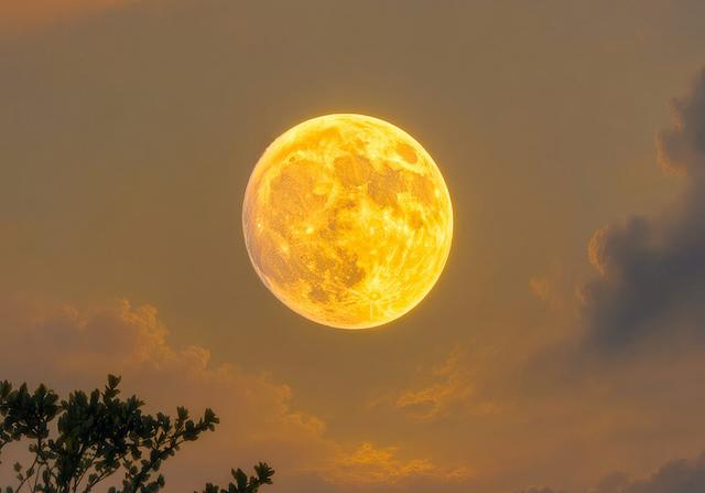 The Dolly Moon