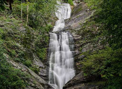 Back to the source: Badger and Rock Sprite return to the waterfalls