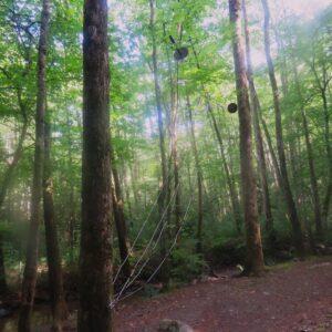 Cables at campsite #18