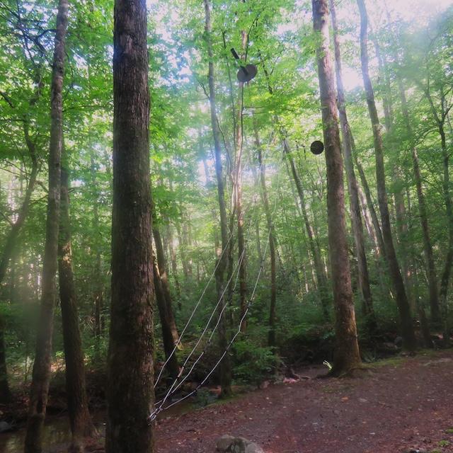 Cables at campsite #18