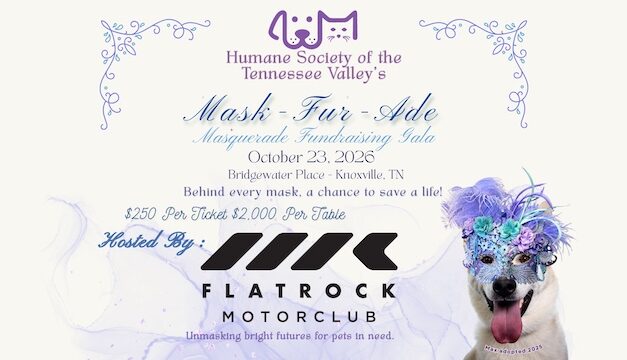 HSTV’s Mask-Fur-Ade Gala Tickets almost sold out, but you can still make an impact for homeless animals.