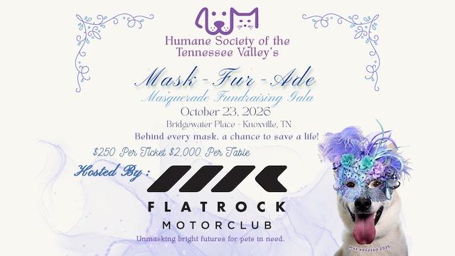 HSTV’s Mask-Fur-Ade Gala Tickets almost sold out, but you can still make an impact for homeless animals.