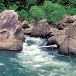 Happy Birthday to Big South Fork