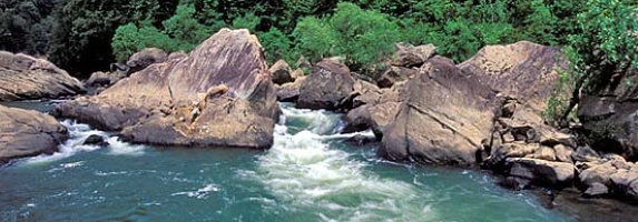 Happy Birthday to Big South Fork