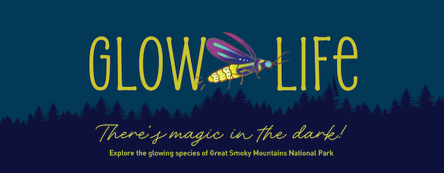 ‘Glow Life’ brings Smokies science to fifth-grade classrooms