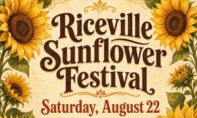 Close to Home, Far from Ordinary: Follow the sunflowers to Riceville