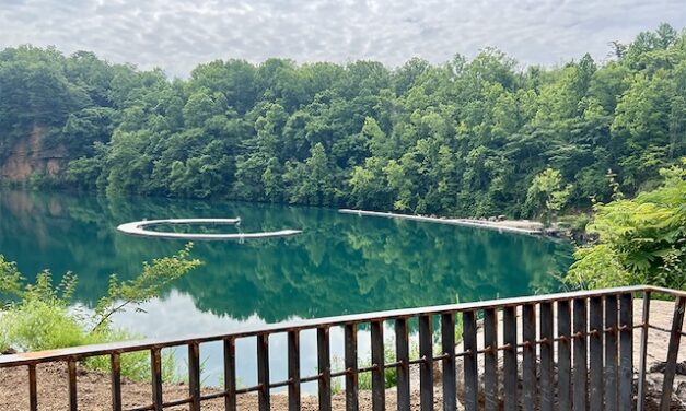 Daily Connections: Your East Tennessee Guide | August 27