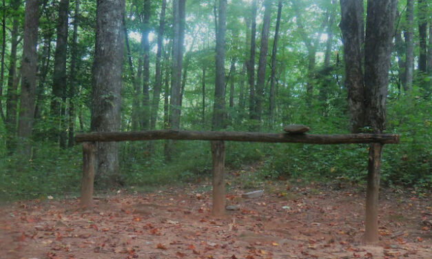 Hiking with Harrington: Finley Cane Trail brings late-season blooms and a few obstacles