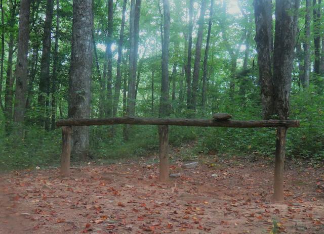 Hiking with Harrington: Finley Cane Trail brings late-season blooms and a few obstacles