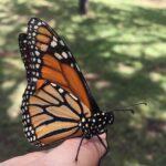 Daily Connections | Wednesday, September 23, 2026