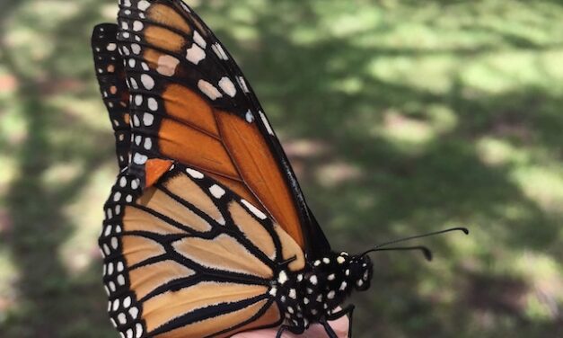 Daily Connections | Wednesday, September 23, 2026