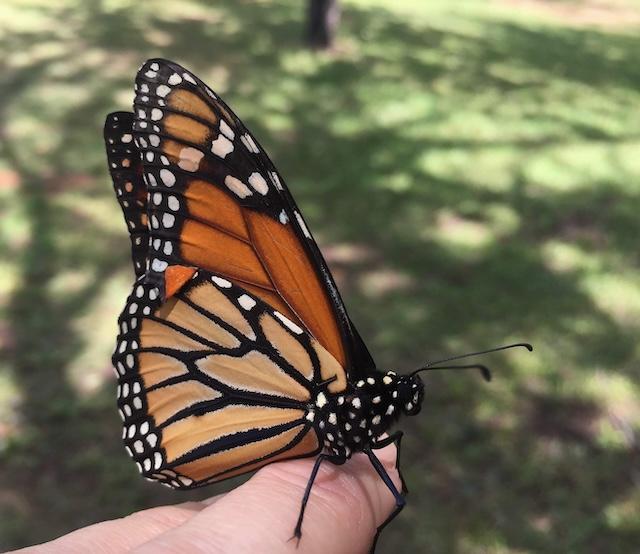 Daily Connections | Wednesday, September 23, 2026
