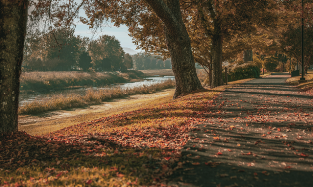 Close to Home, Far from Ordinary: Taking the long way to Sevierville (and why it’s better)