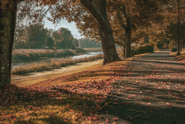 Close to Home, Far from Ordinary: Taking the long way to Sevierville (and why it’s better)