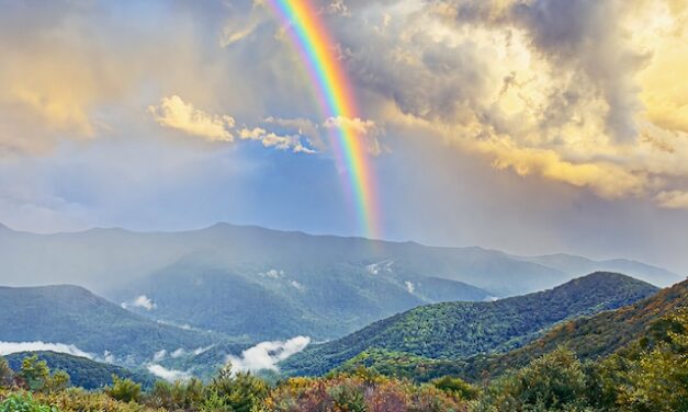 A Tale of Three Rainbows