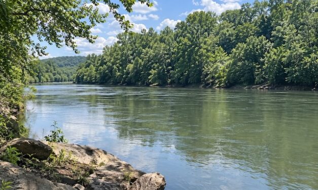 Above & Beyond: Two Tennesseans answer the call on the Duck River