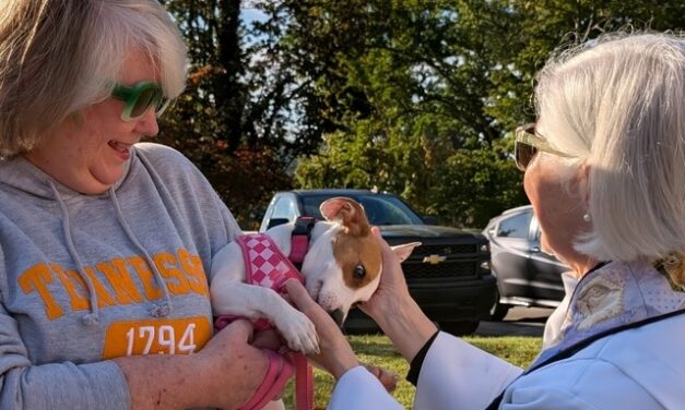 Daily Connections: Monday, Sept. 28, 2026