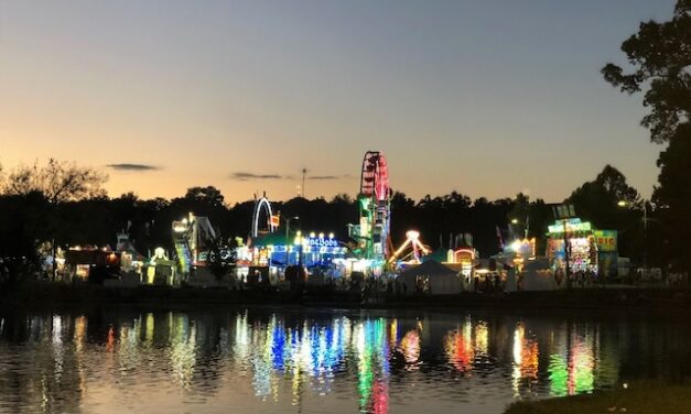 Young Reader’s Shelf: Take a book-inspired trip to the fair