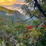 Coming of Autumn:  “The leaves have come to turning.”