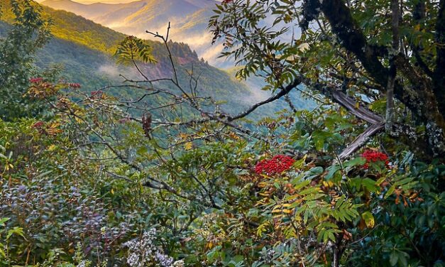 Coming of Autumn:  “The leaves have come to turning.”