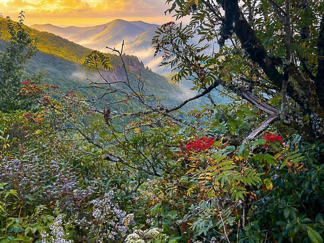 Coming of Autumn:  “The leaves have come to turning.”