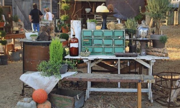 Vintage Market Days fills Knoxville Expo Center this weekend