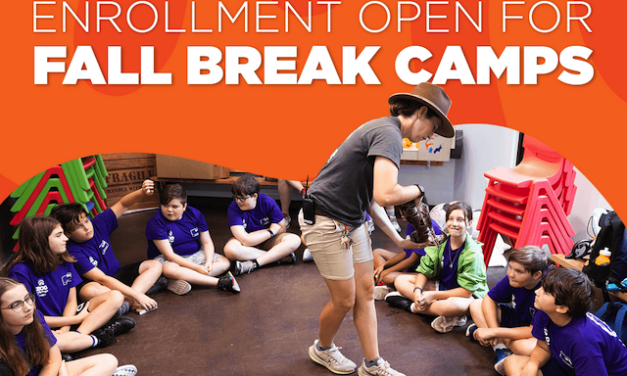 Zoo Knoxville offers fall break programs for children and teens