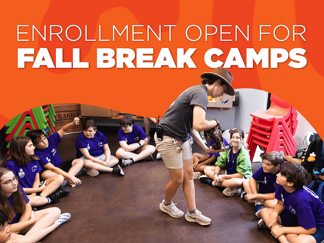 Zoo Knoxville offers fall break programs for children and teens