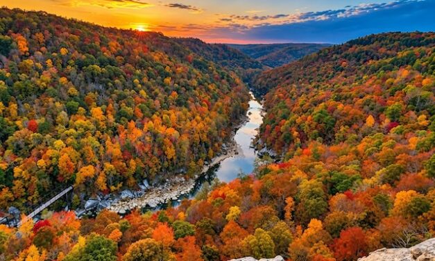 Close to Home, Far from Ordinary: Fall colors without the Smokies traffic