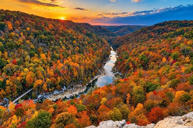 Close to Home, Far from Ordinary: Fall colors without the Smokies traffic