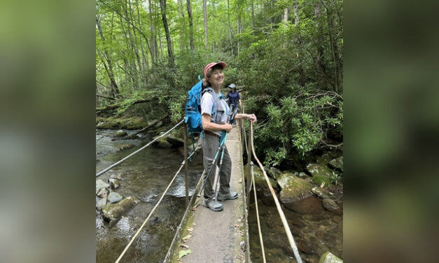 Wandering in the wilderness
