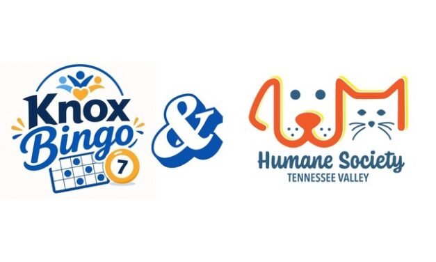 Play Bingo, support local animals: HSTV featured nonprofit with Knox Bingo
