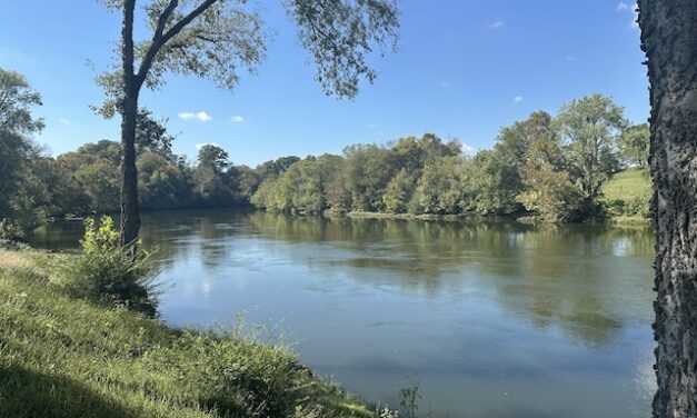 Close to Home, Far from Ordinary: Discover the Holston River, a hidden treasure in our backyard