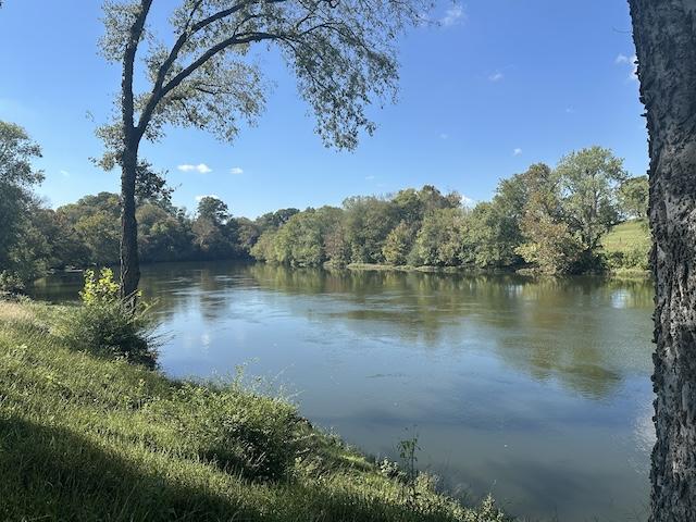 Close to Home, Far from Ordinary: Discover the Holston River, a hidden treasure in our backyard