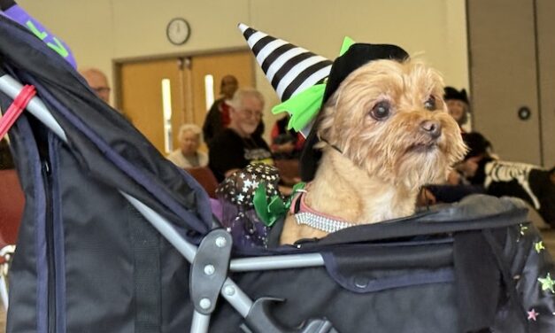 O’Connor Senior Center invites pets to Howl-O-Ween parade