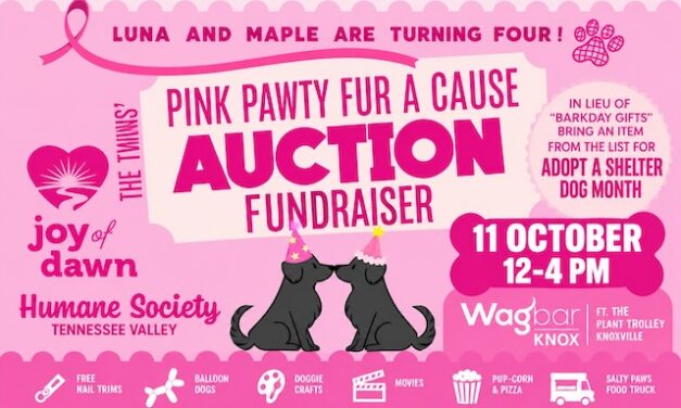 Pink Pawty fundraiser at Wagbar Knox supports Humane Society, breast cancer patients
