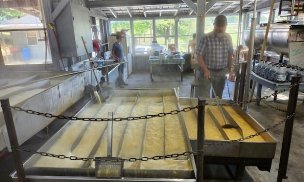 Making sorghum: A sweet tradition worth preserving