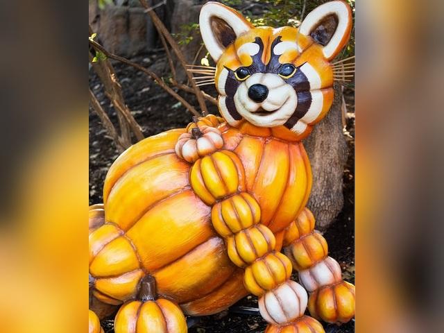 Pumpkin animals bring a little extra personality to Zoo Knoxville