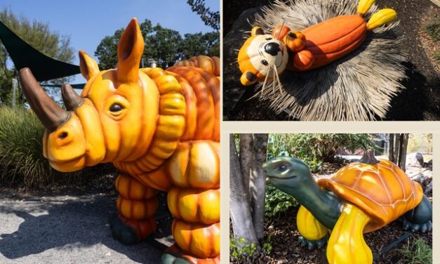 Zoo Knoxville: Halloween magic with conservation in mind